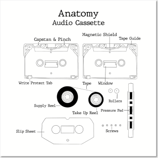 Anatomy of Audio Cassette Tape Posters and Art